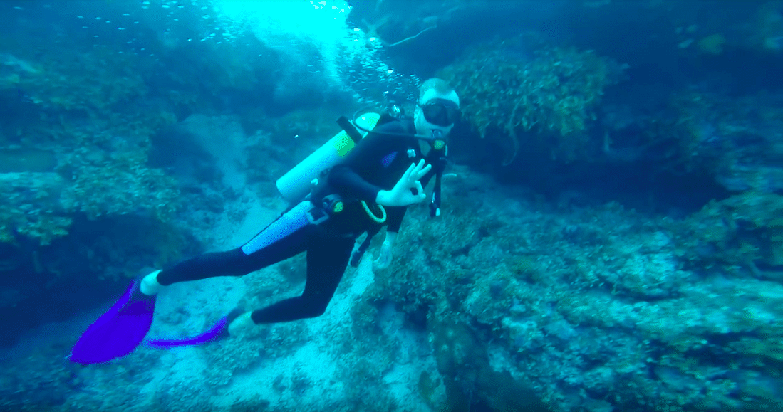 Nurkowanie na Kubie - jaskinie, czarne koralowce i rekiny