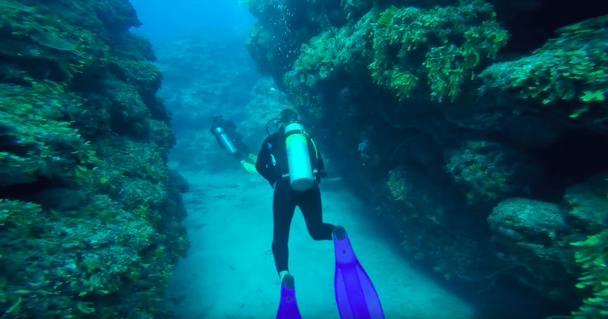 Nurkowanie na Kubie - jaskinie, czarne koralowce i rekiny