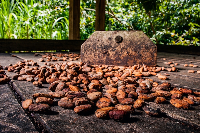 kakao baracoa