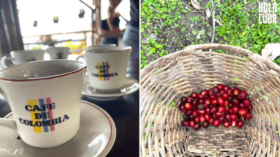 Wizyta w Trójkącie Kawowym – sercu kolumbijskiej arabiki 5 Wizyta w Trójkącie Kawowym – sercu kolumbijskiej arabiki