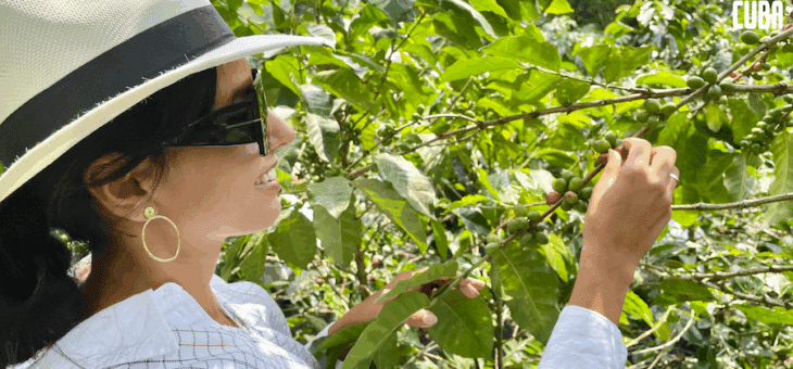 Wizyta w Trójkącie Kawowym – sercu kolumbijskiej arabiki