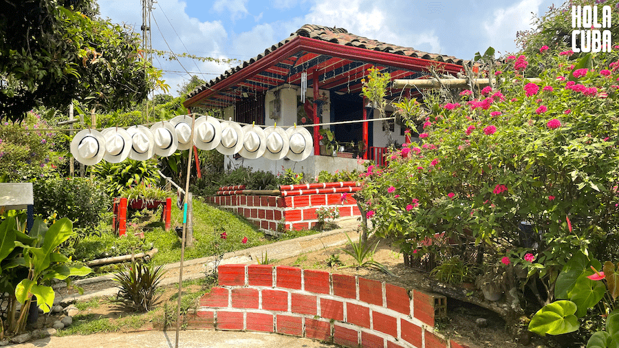 Wizyta w Trójkącie Kawowym – sercu kolumbijskiej arabiki 2 Wizyta w Trójkącie Kawowym – sercu kolumbijskiej arabiki