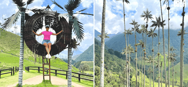 Valle de Cocora – w krainie palm, które sięgają nieba