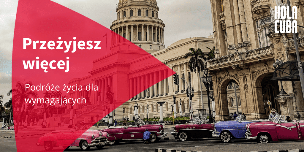 Salsa & Fiesta Level Up