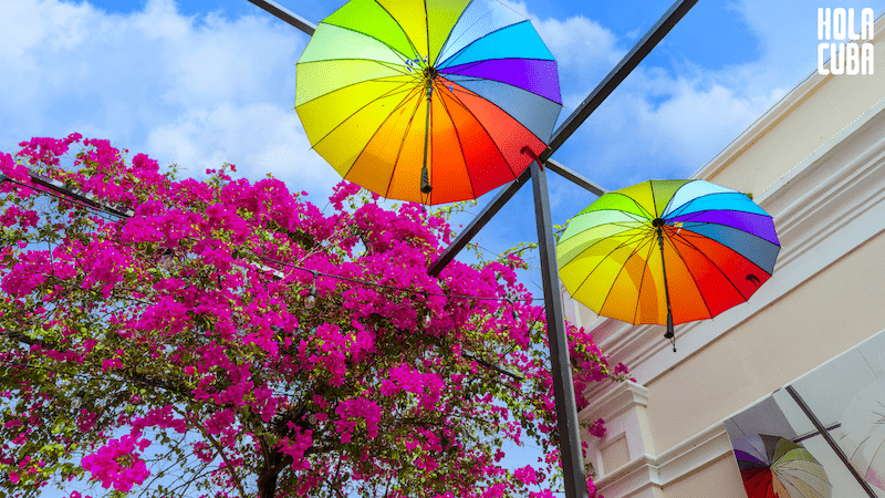 Dominikana - Hola Dominicana! 7 Dominikana - Hola Dominicana!