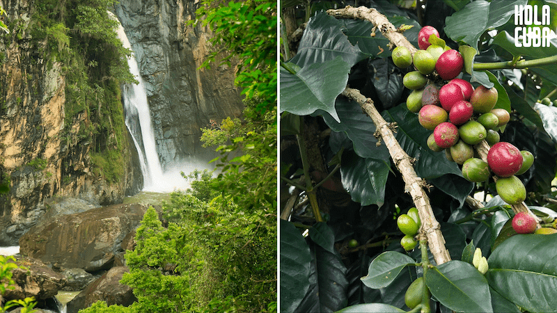 Dominikana - Hola Dominicana! 5 Dominikana - Hola Dominicana!